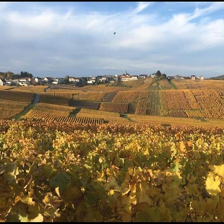 Gite En Champagne Le Sarment Cramant ภายนอก รูปภาพ