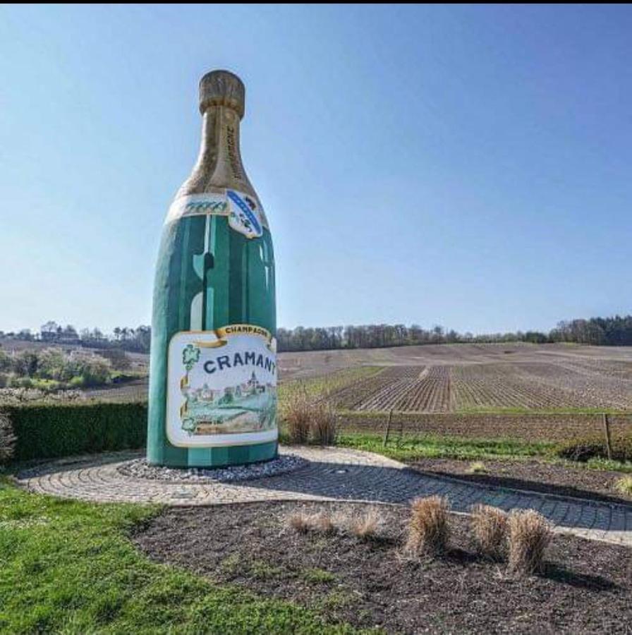 Gite En Champagne Le Sarment Cramant ภายนอก รูปภาพ