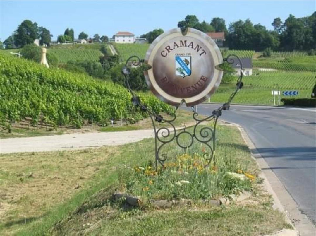 Gite En Champagne Le Sarment Cramant ภายนอก รูปภาพ