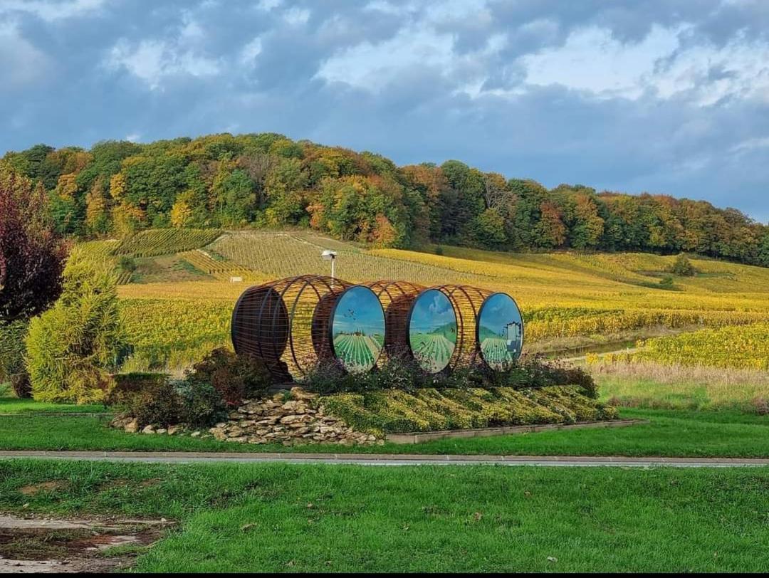 Gite En Champagne Le Sarment Cramant ภายนอก รูปภาพ