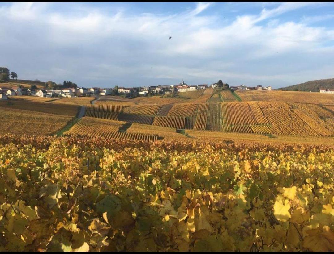 Gite En Champagne Le Sarment Cramant ภายนอก รูปภาพ