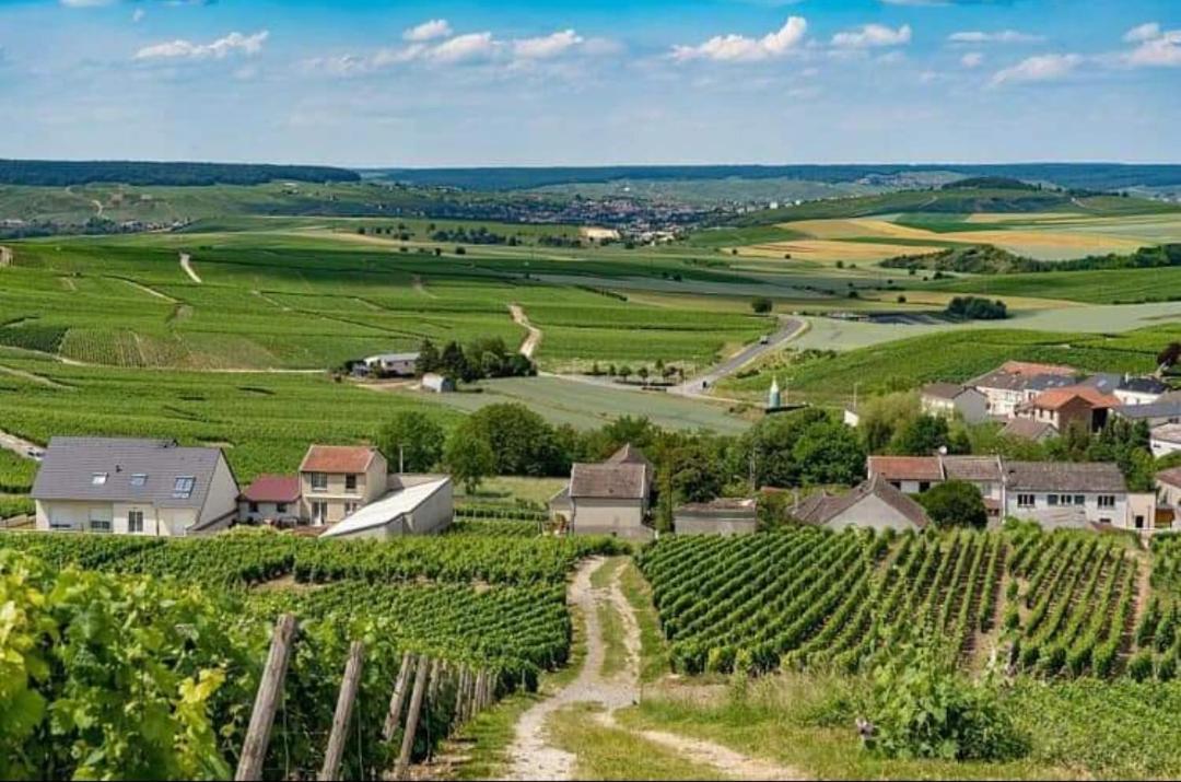 Gite En Champagne Le Sarment Cramant ภายนอก รูปภาพ