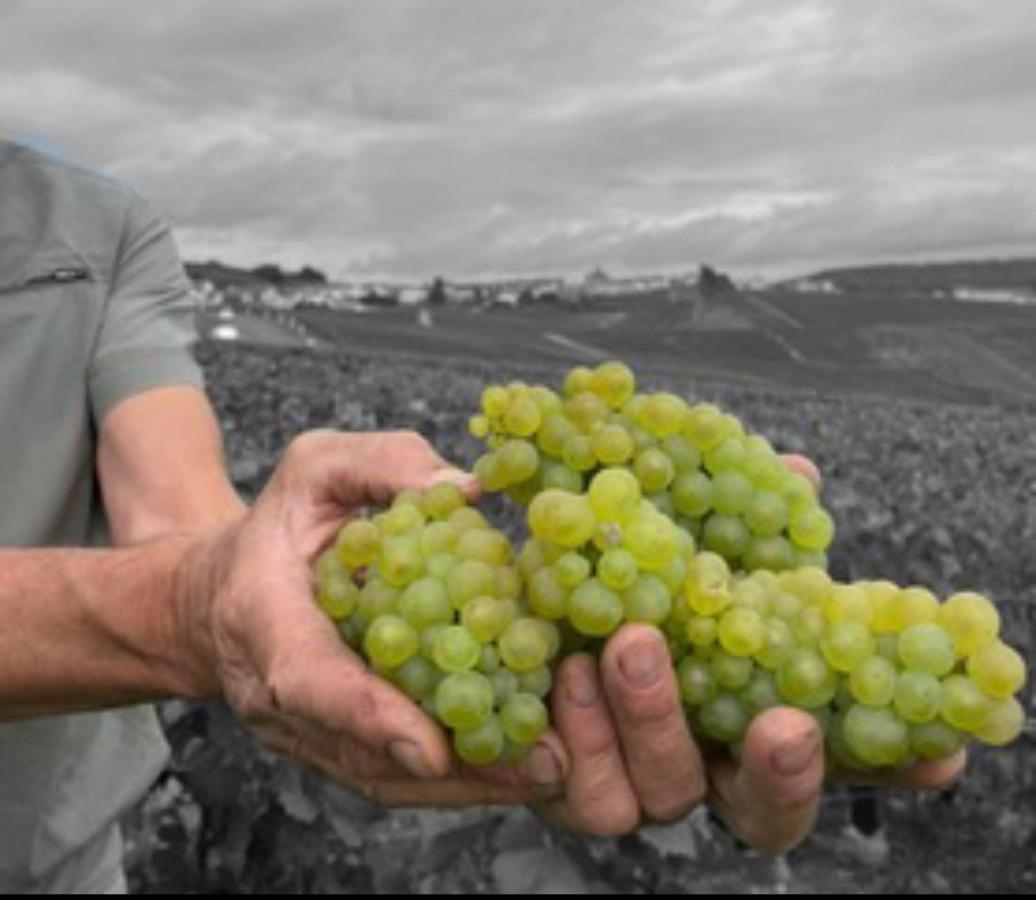 Gite En Champagne Le Sarment Cramant ภายนอก รูปภาพ